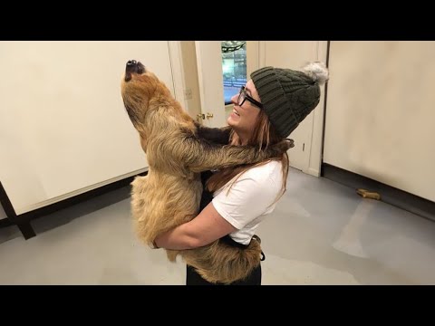 When animals and humans form a special bond!- Funniest Animals and Pets