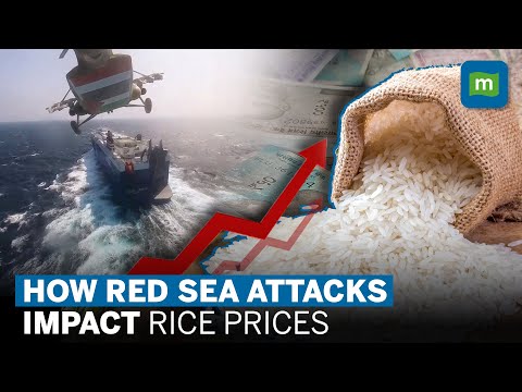 Rising Export Prices of Indian Basmati Rice Due To Red Sea Attacks l Houthis Attack l World News