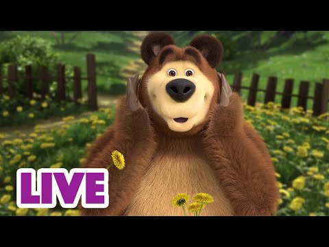 ? LIVE STREAM ? Masha and the Bear ? Spring blossoms ?