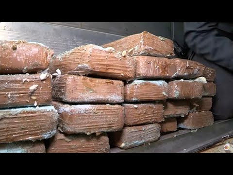 Inside the Ndrangheta: The Mafia Powerhouse Dominating the Global Cocaine Trade