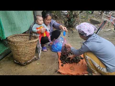 Single mother - harvesting snails and renovating the vegetable garden