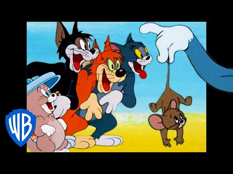 Tom &amp; Jerry | What a Cat-astrophe!  | Classic Cartoon Compilation | WB Kids