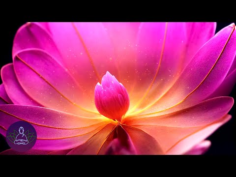 Inner Reflection | 528Hz + 111Hz Self Love, Positive Mind &amp; Soul Healing Frequency Meditation Music