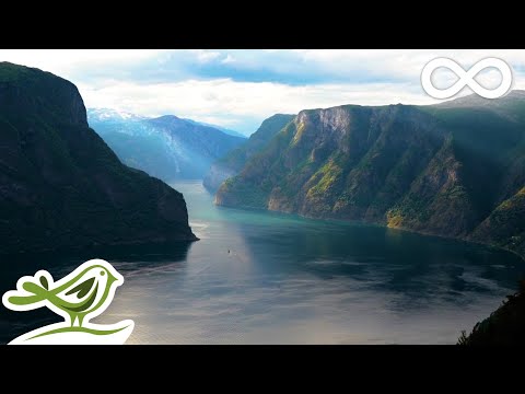 Beautiful Relaxing Music &bull; Norwegian Nature &amp; Violin, Flute, Piano &amp; Harp Music