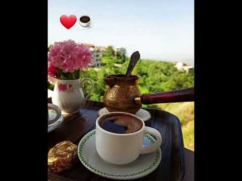 وكم تطيب القهوة بين أحضان الطبيعة💐☕🌹🌹🌴