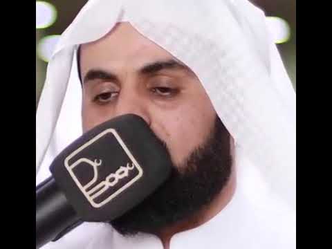 🎤🎤الشیخ رعد محمد الکردی 