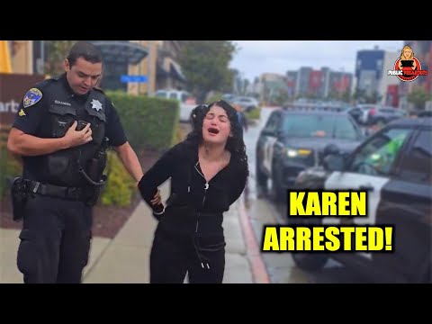 Police Officer Puts Road Rage KAREN In Her Place..