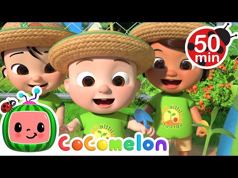 Play In My Garden Song | 🍉CoComelon | Kids Cartoons &amp; Nursery Rhymes | Moonbug Kids⭐