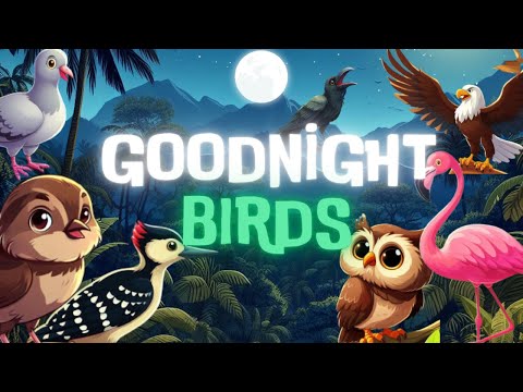 Goodnight Birds🐦🌙GREAT Cozy Bedtime Stories for Babies and Toddlers with Relaxing Music,birdsound