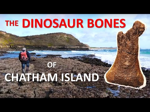 The Chatham Island Dinosaur Locality