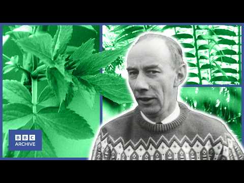 1963: The Man TERRIFIED of LEAVES | Man Alive | Weird and Wonderful | BBC Archive