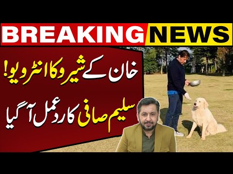 Saleem Safi Reaction On Imran Khan's Sheru's Interview | Capital TV