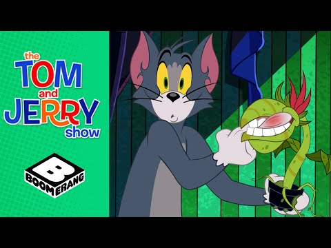 Evil Plants! | Tom &amp; Jerry Show | Boomerang UK