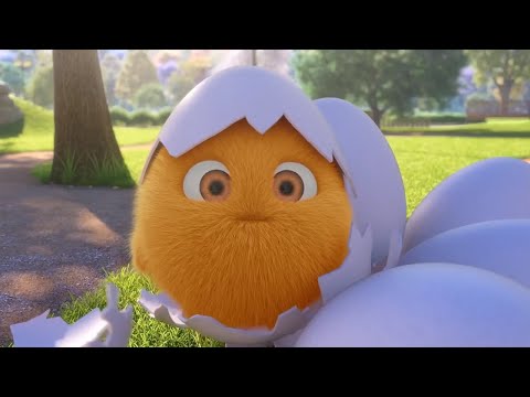 Sunny Bunnies | Chick-a-Bunny |  COMPILATION | Cartoons for Children