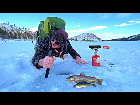 24h SOLO Ice Fishing Survival Challenge! NO FOOD NO WATER! (Catch, Cook, Camp)