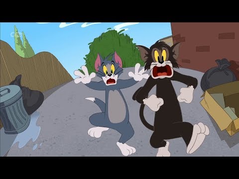 The Tom And Jerry Show - Vegged out