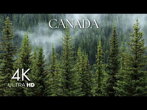 Canada 4k || Canada Scenic Relaxation Film || Canada 4k video ultra hd 