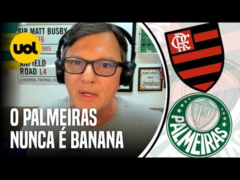 'NUNCA &Eacute; BANANA, NUNCA &Eacute; PREGUI&Ccedil;OSO', MAURO CEZAR DETONA E DIZ QUE FLA N&Atilde;O APRENDE COM PALMEIRAS