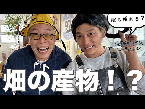 所さんと世田谷ベースの畑。