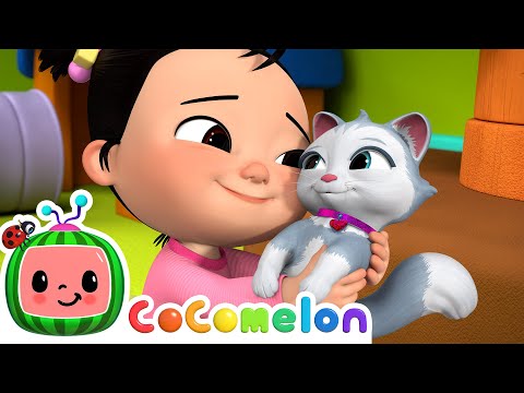 Cece Had a Little Cat | CoComelon Nursery Rhymes &amp; Kids Songs