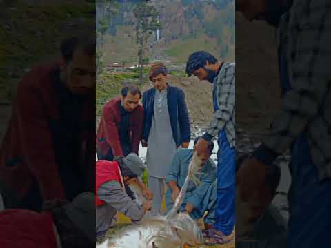 A beautiful program with friends in Gujjar Gabral kalam swat