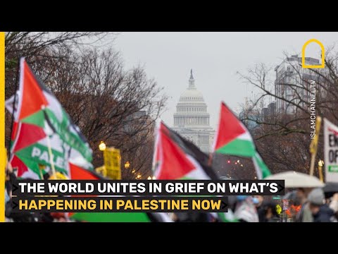 PRO-PALESTINE PROTESTS: THE WORLD IS UNITED IN ITS DEVASTATION ON WHAT'S HAPPENING IN PALESTINE