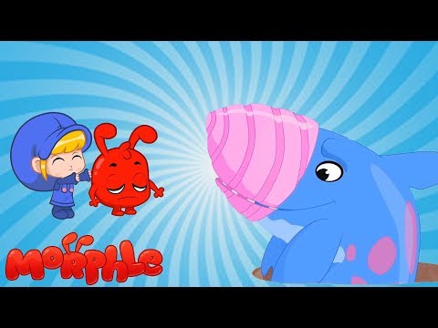 Morphle Deutsch | Morphle und der Hai der Erde | Zeichentrick f&uuml;r Kinder | Zeichentrickfilm