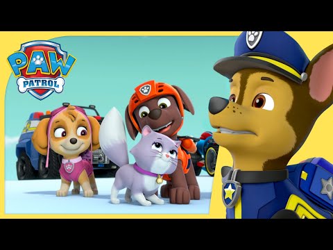 Chase Saves the Royal Kitties and MORE 😺| PAW Patrol | Cartoons for Kids