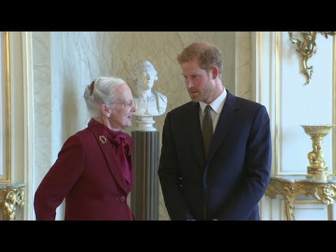 Prince Harry meets the Queen of Denmark on first official visit