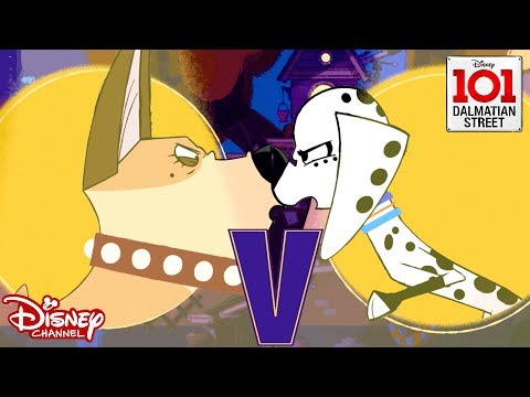 ? Dolly vs Clarissa | 101 Dalmatians | Disney Channel Africa