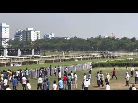 My first ever racecourse experience at RCTC (Royal Calcutta Turf Club). 