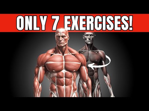 The ONLY 7 Exercises Men Need To Build Muscle!