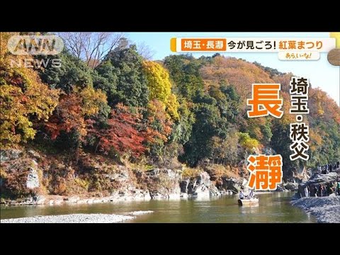 水上から神社から&amp;hellip;秩父・長瀞の紅葉は今が見頃！絶品&amp;ldquo;紅葉グルメ&amp;rdquo;も【あらいーな】(2023年11月20日)