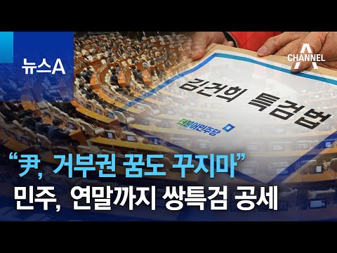 &ldquo;尹, 거부권 꿈도 꾸지마&rdquo;&hellip;민주, 연말까지 쌍특검 공세 | 뉴스A