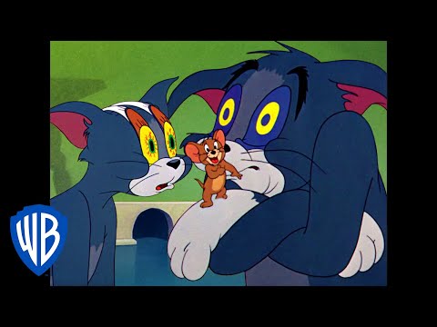 Tom &amp; Jerry | Sleepy Tom | Classic Cartoon | WB Kids