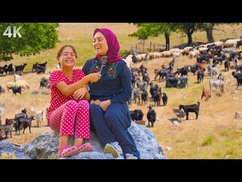 Turkish Girl Living in the Mountains- Nomadic Culture in Toros Mountains | Documentary-4K