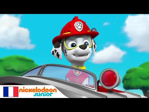 Paw Patrol : La Pat' Patrouille | Cache-cache avec la Pat' Patrouille | NICKELODEON JUNIOR