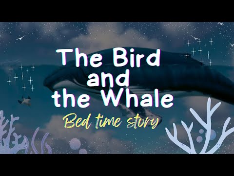 The Bird and the Whale | 🌜Bedtime Stories for Babies &amp; Kids | 🌈English🌟