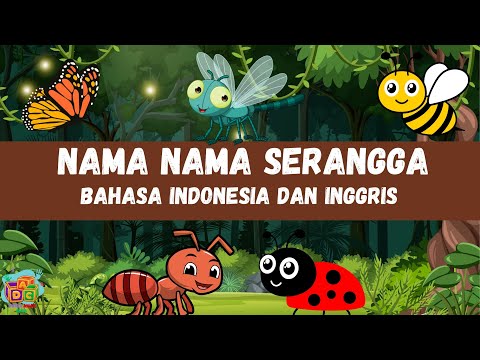 BELAJAR MENGENAL NAMA NAMA SERANGGA DALAM BAHASA INDONESIA DAN BAHASA INGGRIS UNTUK ANAK SD TK PAUD