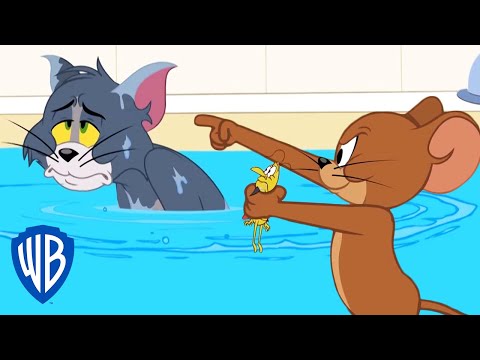 Tom &amp; Jerry | Tom's Tick Problem | WB Kids