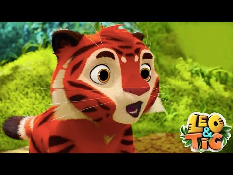 Leo e Tig 🔴 Aventuras na floresta 🔴 LIVE 🔴 Desenho Infantil ⭐  Desenhos Animados Para Crian&ccedil;as