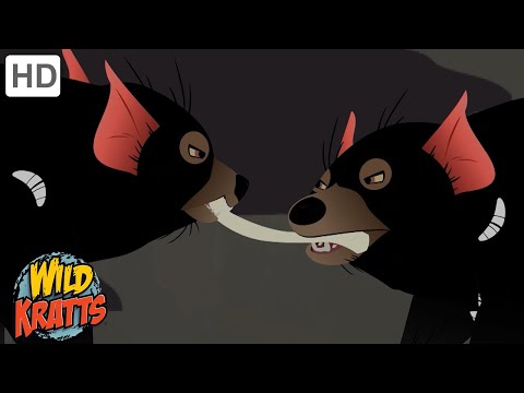 Nocturnal Animals | Tasmanian Devils, Bats, Owls + more! [Full Episodes] Wild Kratts