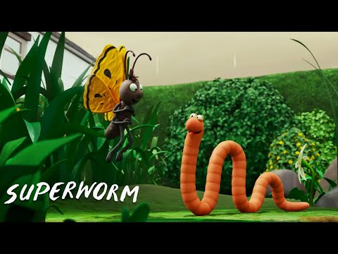 Superworm and Butterfly Make a Great Pair! 