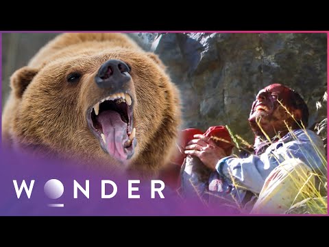 Grizzly Bear Attack Survivors Share Their Stories |  Human Prey | Wonder