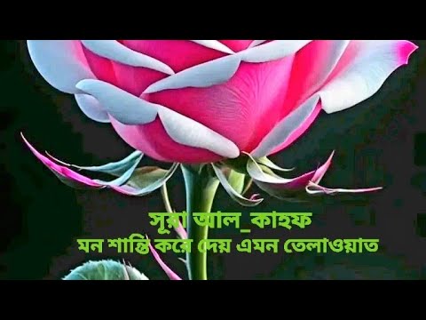 আপনার মনকে প্রশান্তি করে দিবে এমন তেলাওয়াত 