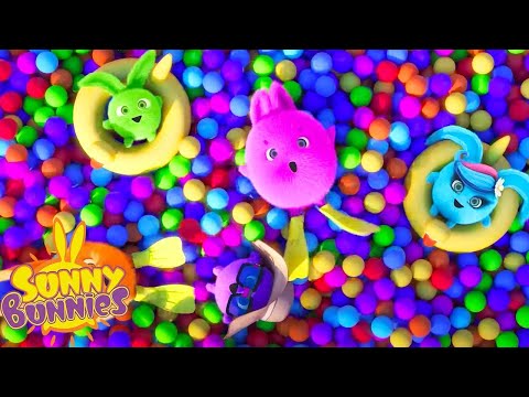 Colourful Swimming Pool | Sunny Bunnies | Cartoons for Kids | WildBrain Enchanted