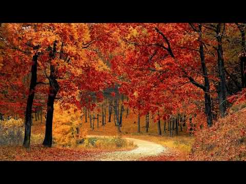 1 Hour of Autumn