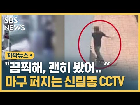 &quot;보지마, 끔찍해&quot; 잔혹한 범행 장면이 그대로&hellip;CCTV 무차별 확산 (자막뉴스) / SBS