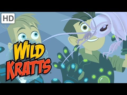 Wild Kratts ?? Incredible Creatures! (Part 2) | Kids Videos