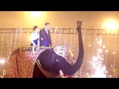 Reception Entry (Elephant) BEST OF 2018 Parimal Weds Rajal